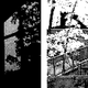 Game Boy Camera photos taken on a custom Game Boy Pocket